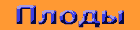 plody.gif (510 bytes)