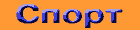 sport.gif (471 bytes)